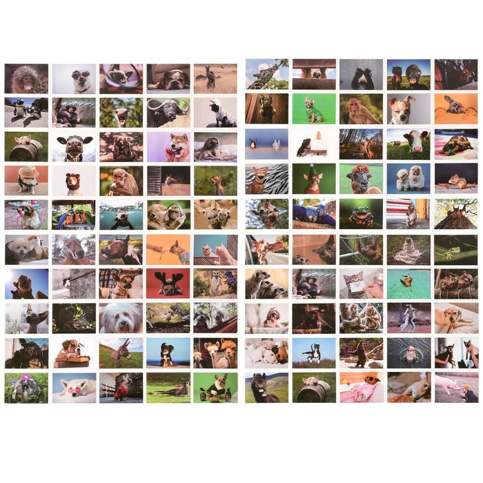 ewtshop Postkarten Set mit lustigen Tiermotiven, 100 unterschiedliche Motive
