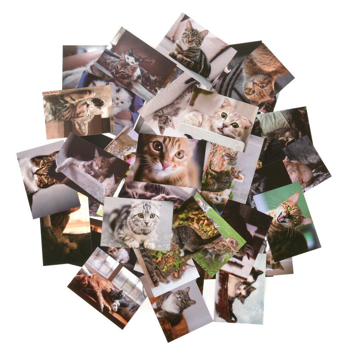 ewtshop Postkarten Set mit süßen Katzenmotiven, 50 unterschiedliche Motive