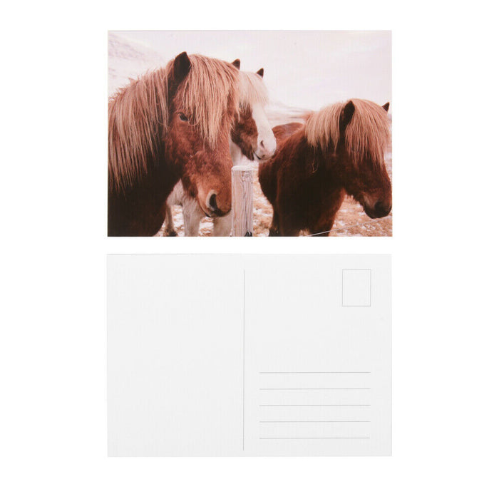 ewtshop Postkarten Set mit tollen Pferdemotiven, 50 unterschiedliche Pferdemoti