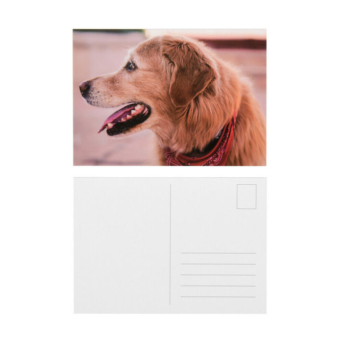 ewtshop Postkarten Set mit süßen Hundemotiven, 50 unterschiedliche Hundemotive,