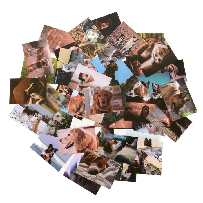 ewtshop Postkarten Set mit süßen Hundemotiven, 50 unterschiedliche Hundemotive,