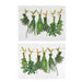 Fenstersticker Kräuter, Herbs, Fensterbilder, Windowsticker, Fensterdeko - ewtshop